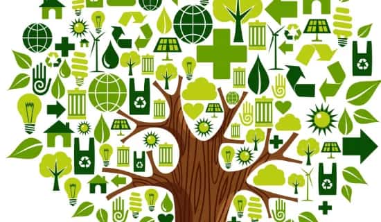 Electrical Items (WEEE)